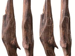 300,000-Year-Old Wooden Tools Discovered in China