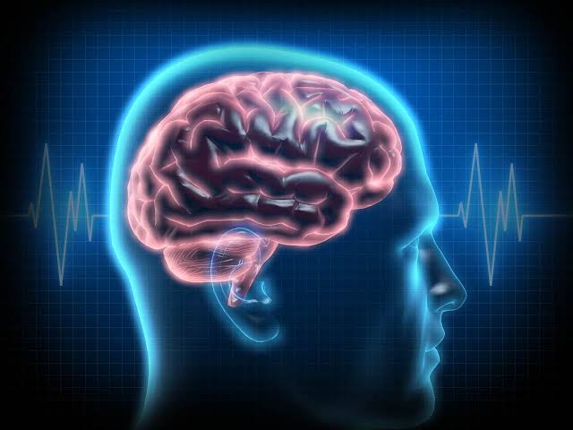 Brain Cells Keep Growing Even in Old Age, Study Finds