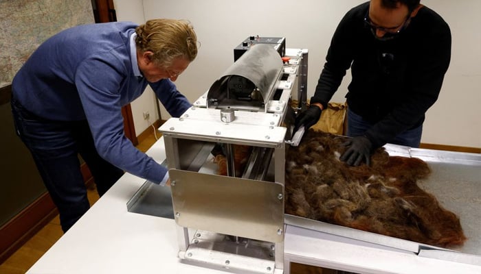 Way To Recycle Hair Without Harsh Chemicals