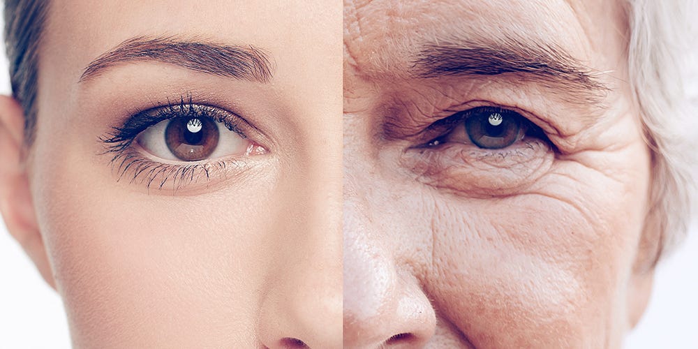 Scientists Discover Hidden Driver of Aging That May Be Reversed