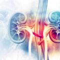 Scientists Find Kidney-Saving microRNA in a World-First Discovery