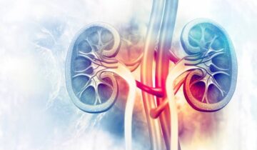Scientists Find Kidney-Saving microRNA in a World-First Discovery