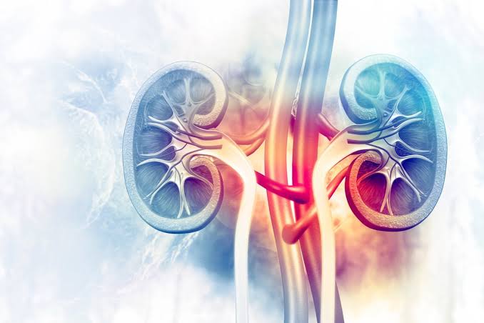 Scientists Find Kidney-Saving microRNA in a World-First Discovery