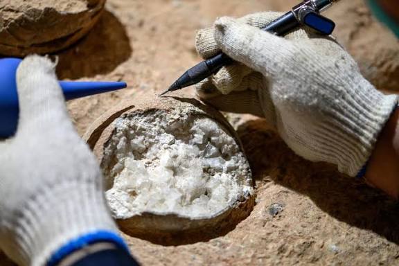 Scientists Just Cracked an 85 Million-Year-Old Dinosaur Egg Mystery