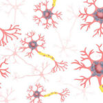New Biomarker Could Detect Alzheimer’s Years Before Symptoms Appear