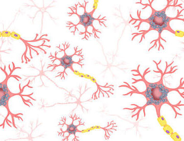 New Biomarker Could Detect Alzheimer’s Years Before Symptoms Appear