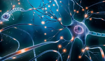 Scientists Create Artificial Neuron That “Speaks” the Language of the Brain