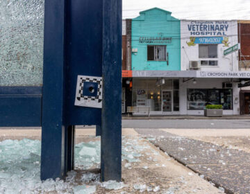 Over a dozen wounded in rare Sydney mass shooting