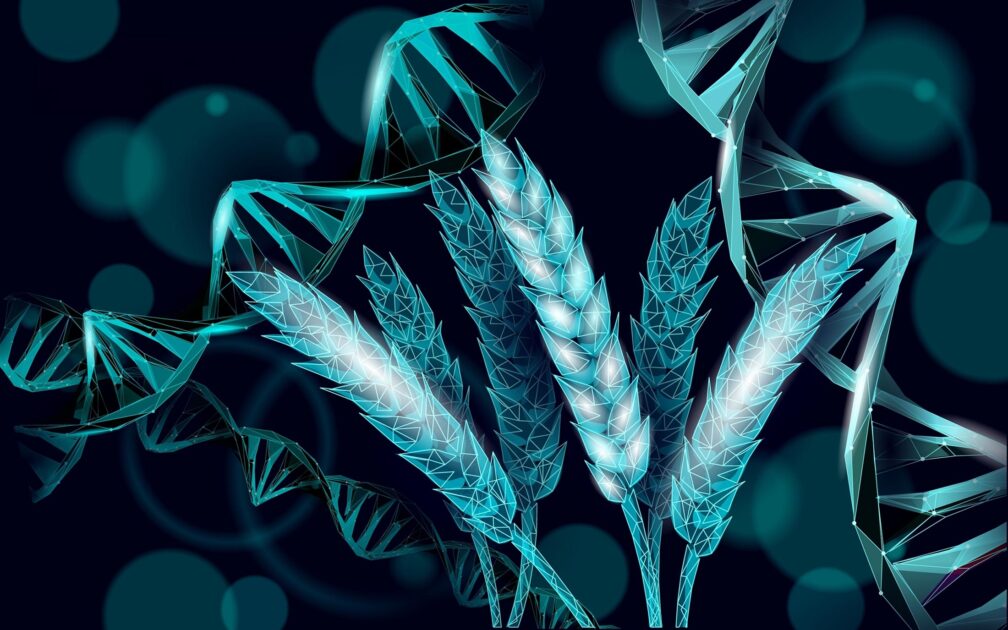 Scientists Just Found a Tiny Genetic Switch That Could Feed Billions .