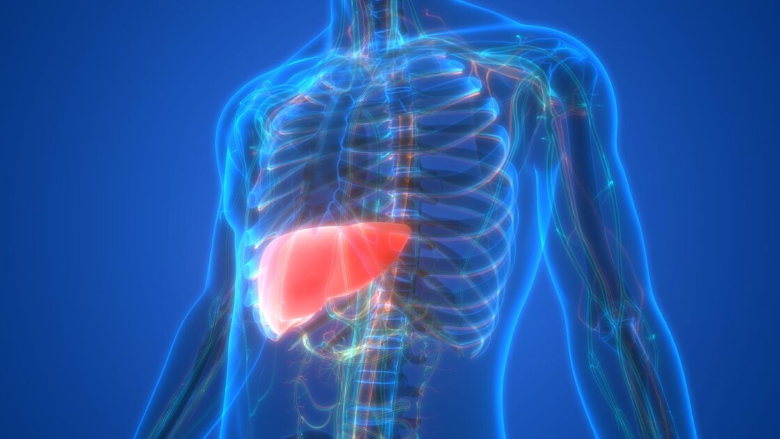 Existing Drugs Combine To Fight World’s Most Common Liver Disease
