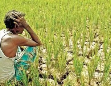 Punjab farmers to get Rs20,000 per acre for losses of crops