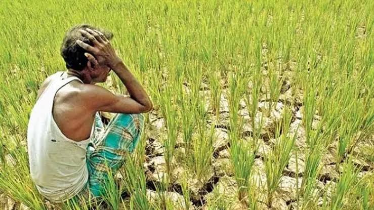 Punjab farmers to get Rs20,000 per acre for losses of crops