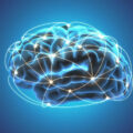 This High-Fat Diet Could Be the Secret to Keeping Your Brain Young