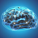 This High-Fat Diet Could Be the Secret to Keeping Your Brain Young