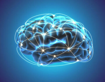 This High-Fat Diet Could Be the Secret to Keeping Your Brain Young