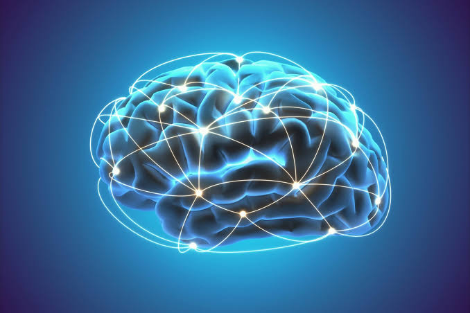 This High-Fat Diet Could Be the Secret to Keeping Your Brain Young