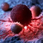 A New Way To Stop Cancer Growth