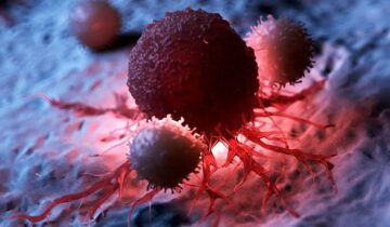 A New Way To Stop Cancer Growth
