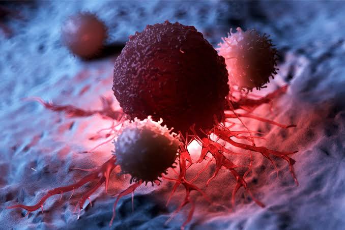 A New Way To Stop Cancer Growth