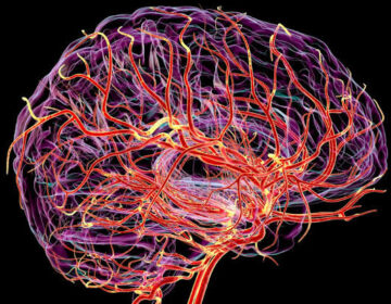 This Hidden Brain Pulse Could Predict Dementia