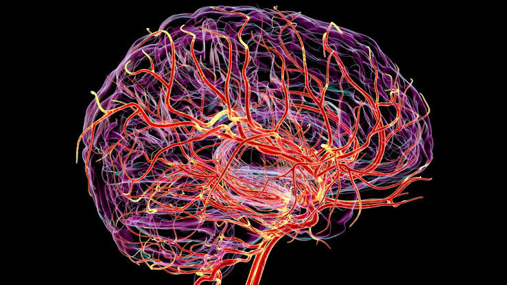 This Hidden Brain Pulse Could Predict Dementia