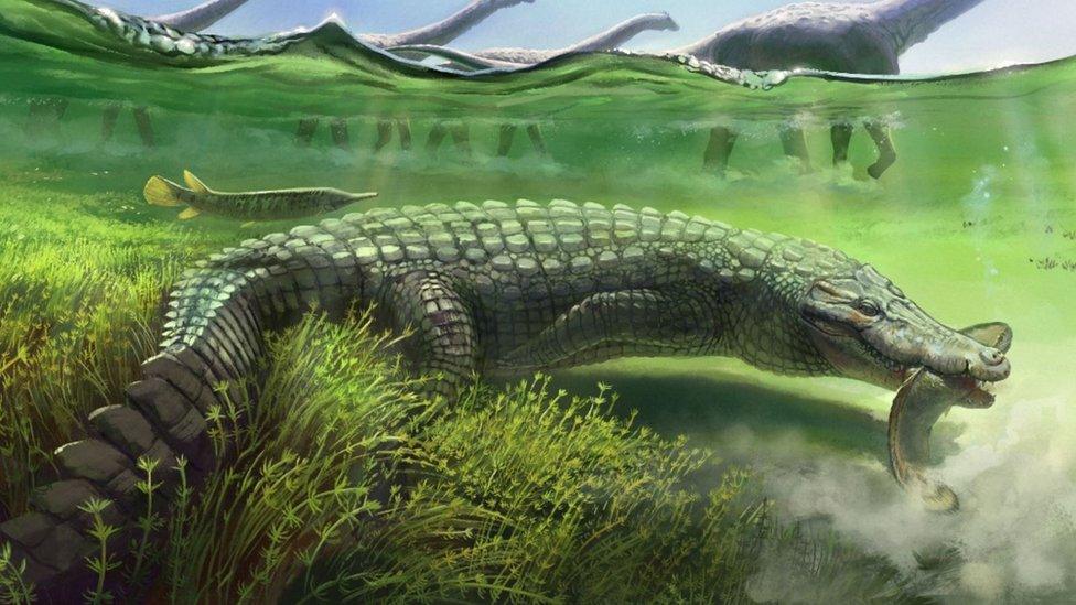Scientists Discover Ancient 13-Foot-Long Crocodile Relative in Egypt