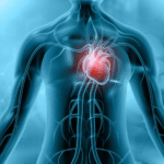 Scientists Discover a Diet That Can Prevent and Reverse a Key Type of Heart Disease