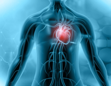 Scientists Discover a Diet That Can Prevent and Reverse a Key Type of Heart Disease