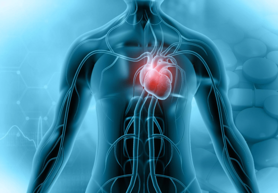 Scientists Discover a Diet That Can Prevent and Reverse a Key Type of Heart Disease