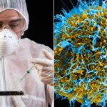 Scientists Find Cause for Unexplained, Deadly Diseases