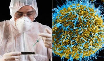 Scientists Find Cause for Unexplained, Deadly Diseases