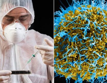 Scientists Find Cause for Unexplained, Deadly Diseases