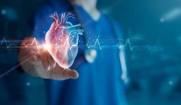 New Study Links Specific Gut Bacteria to Common Heart Disease