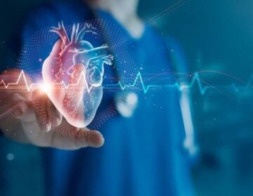 New Study Links Specific Gut Bacteria to Common Heart Disease