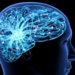 New tool predicts future Alzheimer’s-related memory risk based on 3 factors