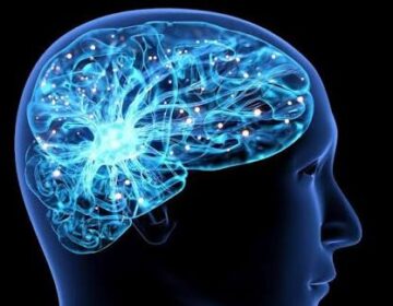 New tool predicts future Alzheimer’s-related memory risk based on 3 factors