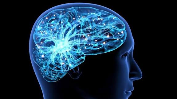 New tool predicts future Alzheimer’s-related memory risk based on 3 factors