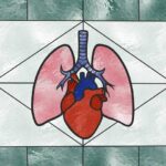 Scientists Discover How To Freeze Organs Without Cracking Them