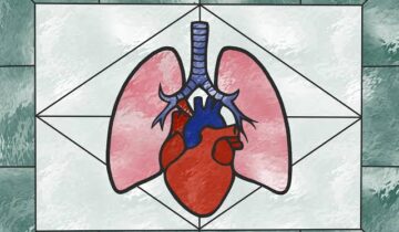 Scientists Discover How To Freeze Organs Without Cracking Them