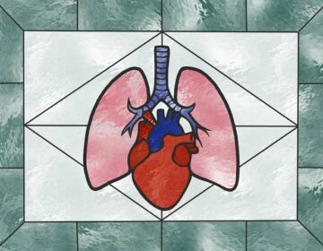 Scientists Discover How To Freeze Organs Without Cracking Them