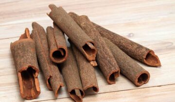 cinnamon, green tea may mimic Ozempic's weight-loss effect