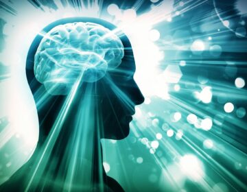 Unlocking the Brain’s Secret Defense Against Stress