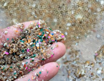 Microplastics Are Leaking Invisible Chemical Clouds Into Rivers and Oceans