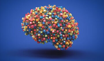 Your Brain Has a Learning Shortcut AI Can’t Copy