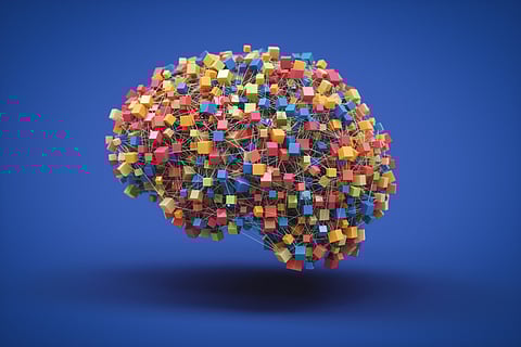 Your Brain Has a Learning Shortcut AI Can’t Copy