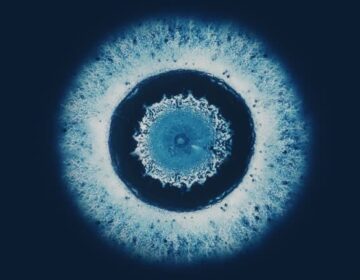 Microscopic Droplets Reveal DNA’s Secret Architecture