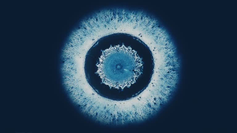 Microscopic Droplets Reveal DNA’s Secret Architecture