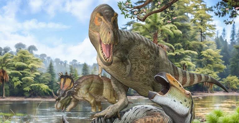 Scientists Confirm Nanotyrannus Was Fully Grown Not a Baby T. rex