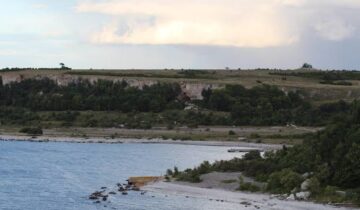 5,000-Year-Old Wolves Found on Remote Island Challenge Conventional Views of Domestication