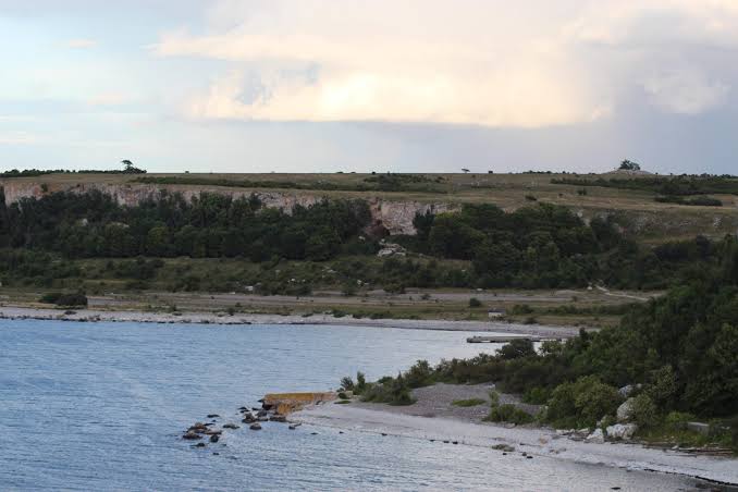 5,000-Year-Old Wolves Found on Remote Island Challenge Conventional Views of Domestication